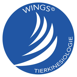 wings logo